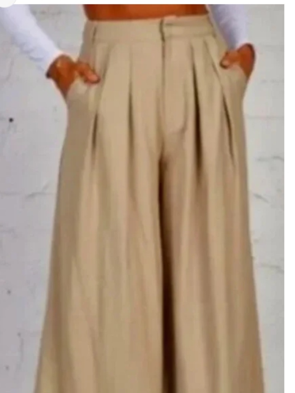 SNDYS Pleated Front  Pant in Cream Size S/NWT